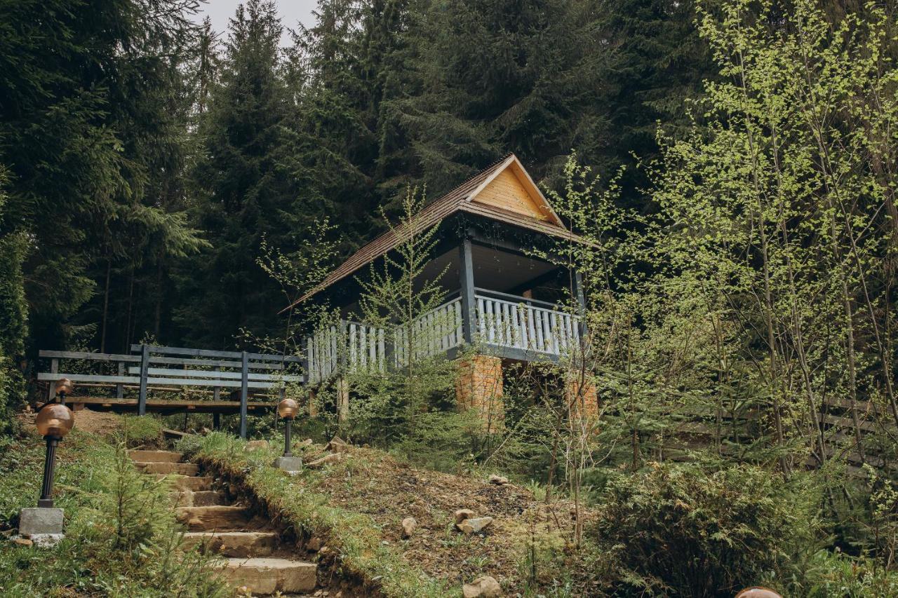 Hotel Vedmezhyi Dvir Boekovel Buitenkant foto