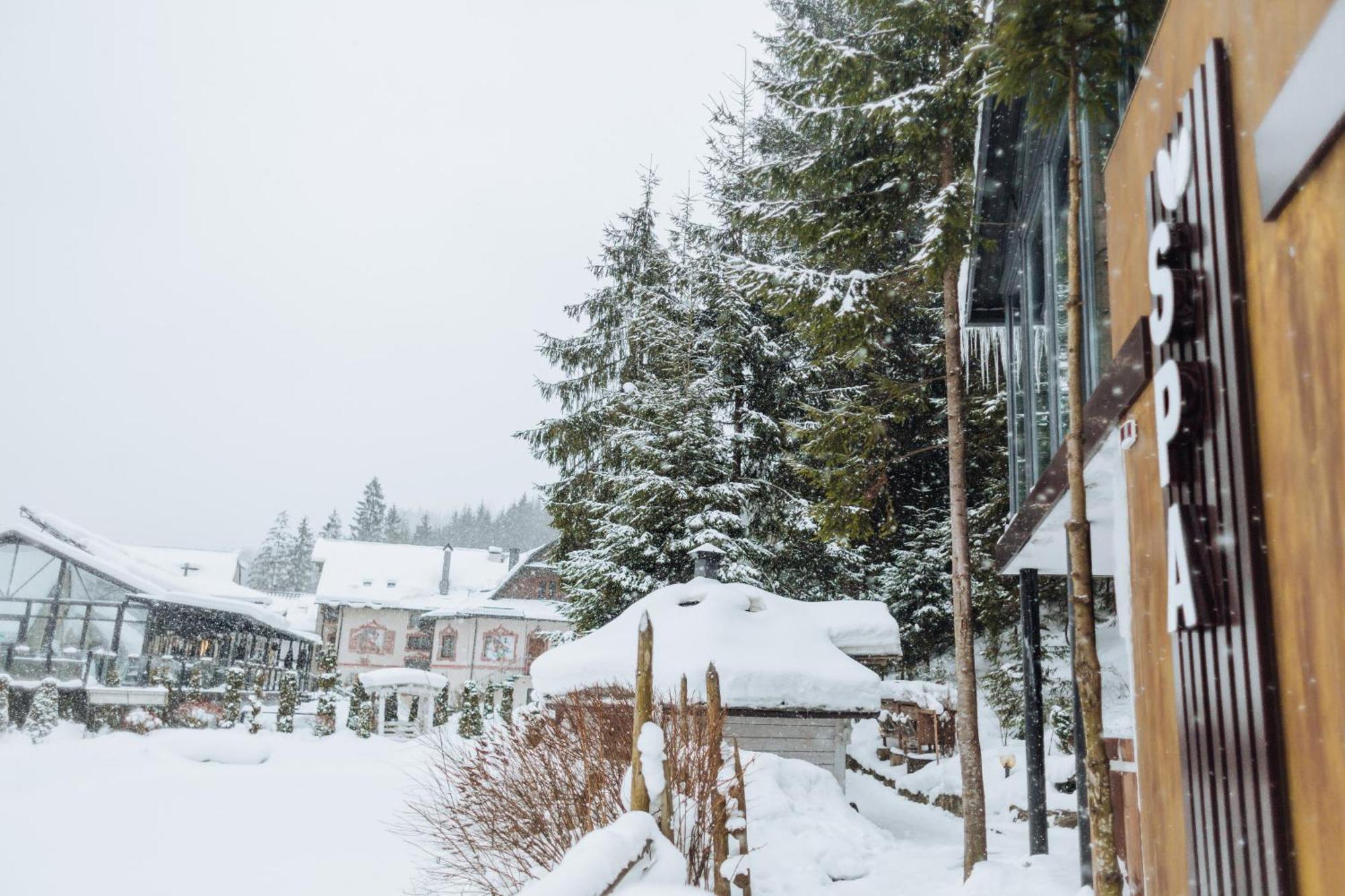 Hotel Vedmezhyi Dvir Boekovel Buitenkant foto
