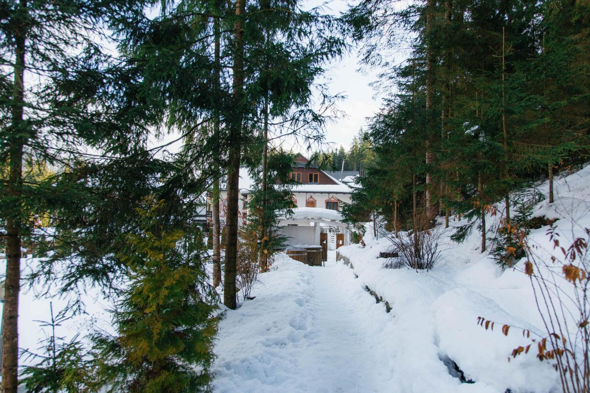Hotel Vedmezhyi Dvir Boekovel Buitenkant foto