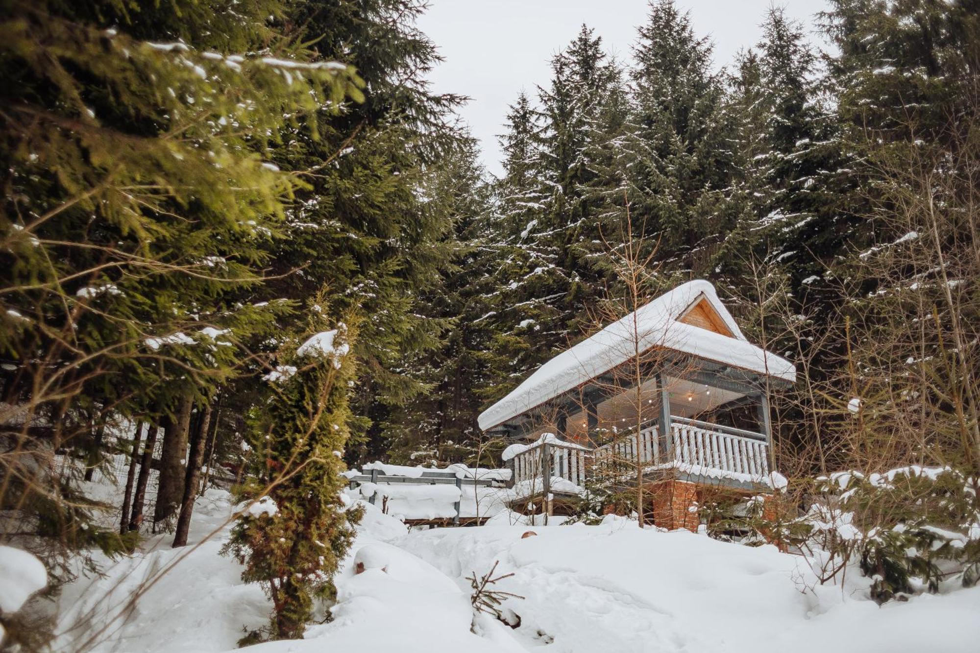 Hotel Vedmezhyi Dvir Boekovel Buitenkant foto